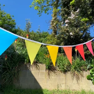 Rainbow bunting