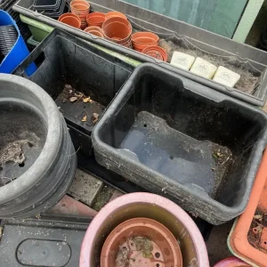 plant pots, planters, trays etc...approx 300 items - Image 5