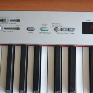 Yamaha P-120 Electric Piano. 88 keys weighted, folding seat, stand pedal and padded carry bag - Image 3