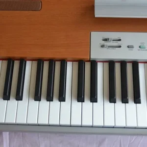 Yamaha P-120 Electric Piano. 88 keys weighted, folding seat, stand pedal and padded carry bag - Image 4