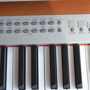 Yamaha P-120 Electric Piano. 88 keys weighted, folding seat, stand pedal and padded carry bag - Image 7