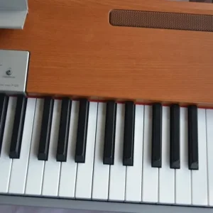 Yamaha P-120 Electric Piano. 88 keys weighted, folding seat, stand pedal and padded carry bag - Image 8