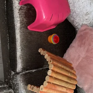 Cage and feeding accessories - Image 2