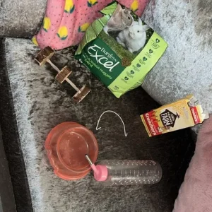 Cage and feeding accessories - Image 3