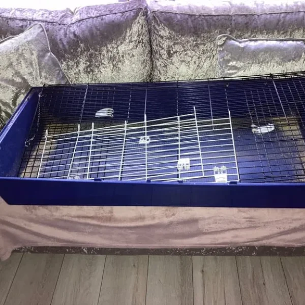 Cage and feeding accessories