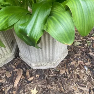 Stone Planters - Image 2