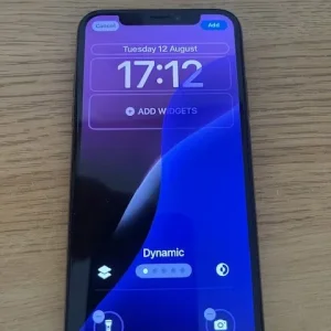 Apple iPhone XS 256 Gb Boxed Immaculate Condition Unlocked