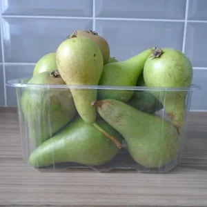 CONFERENCE PEARS
