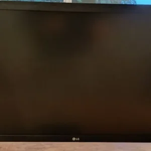 Dual LG monitors - Image 2