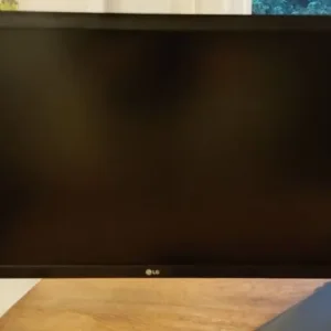 Dual LG monitors - Image 4