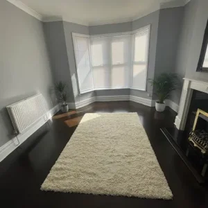 Southville - 2 Bed Garden Flat - Image 2