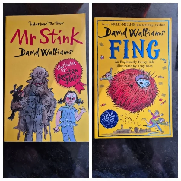 David Walliams Mr Stink and Fing