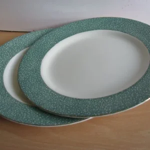 Meakin Florida Sol plates