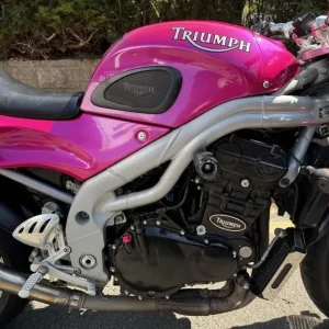 TRIUMPH SPEED TRIPLE 955 2001 - Image 4