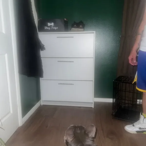 White shoe cabinet