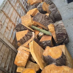 Wood logs for sale - London