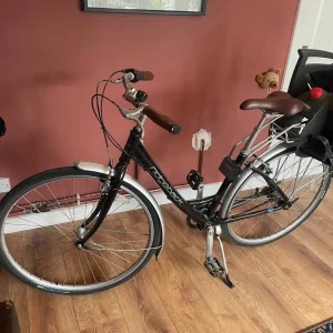 Ridgeback Traditions Bike