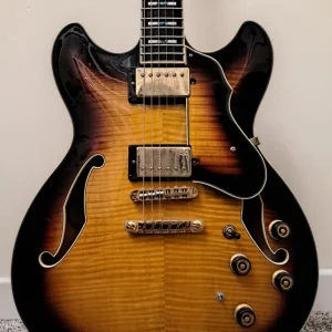 Ibanez AS153 Semi - Hollowbody guitar - Image 2