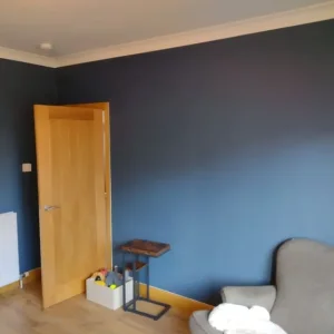 PAINTING AND DECORATING -PLASTERING SERVICE - Image 4