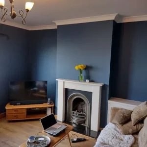 PAINTING AND DECORATING -PLASTERING SERVICE - Image 5