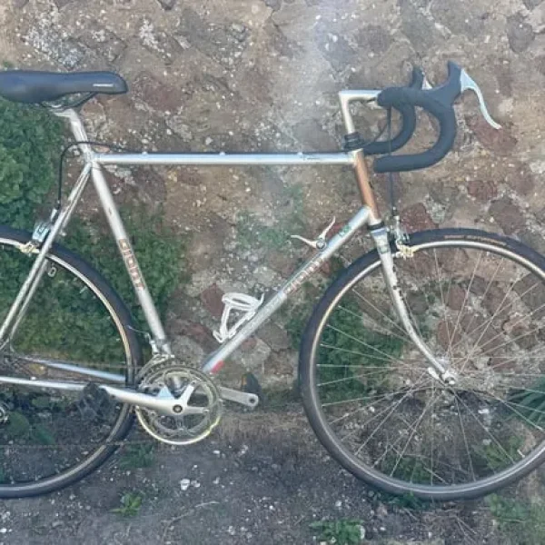 Vintage Giant bike L/XL