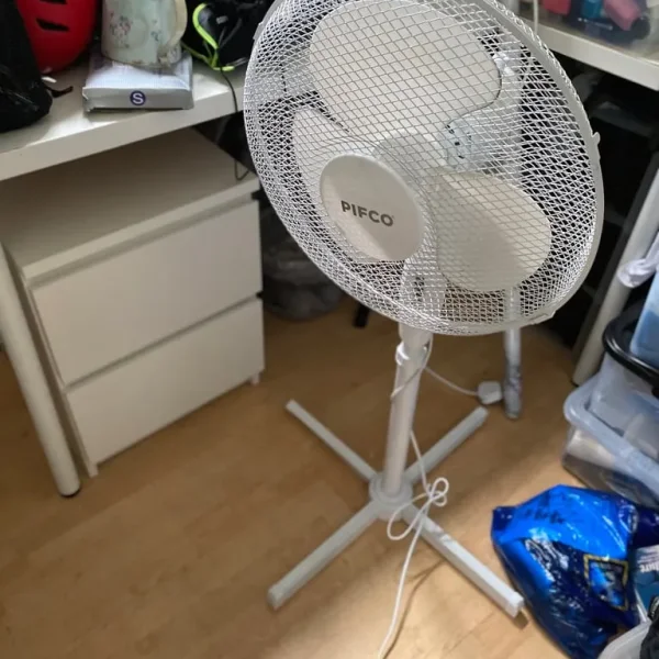 Fan