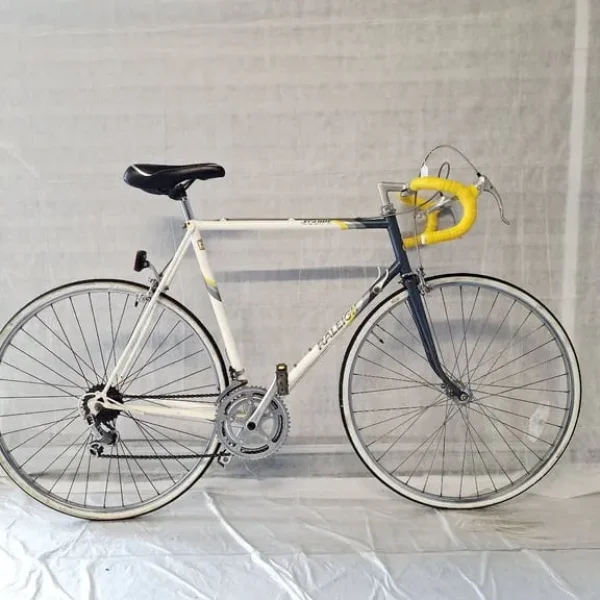 🚲🚲 Vintage RALEIGH Road Bike 12 Speed L Frame 700C Wheels Warranty Serviced 🚲