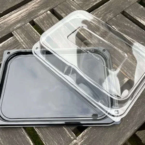 Disposable Food Display Boxes