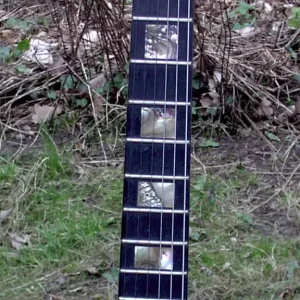 Carvin DC lefthanded, lefty - Image 6