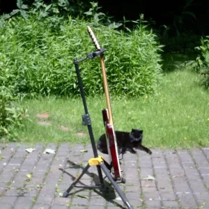 Palm Bay Tidal Wave, made in Korea, lefty, lefthanded - Image 5