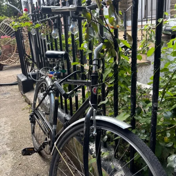 Schwinn Vintage-Style City Bike