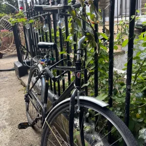 Schwinn Vintage-Style City Bike