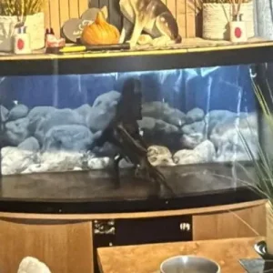 Fish tank 4 foot