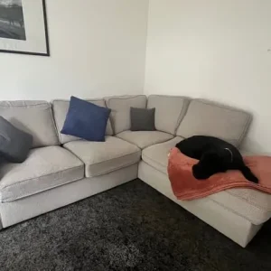 Grey couch sofa-bed