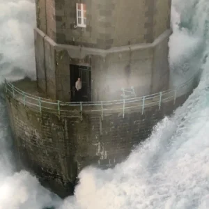 Framed picture - Image 4