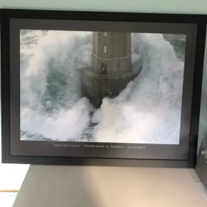 Framed picture