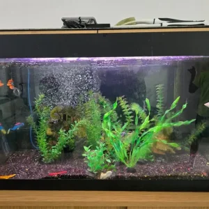 FULL SET UP FISH TANK AQUARIUM - Image 2