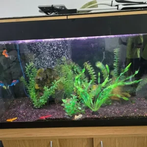 FULL SET UP FISH TANK AQUARIUM - Image 3