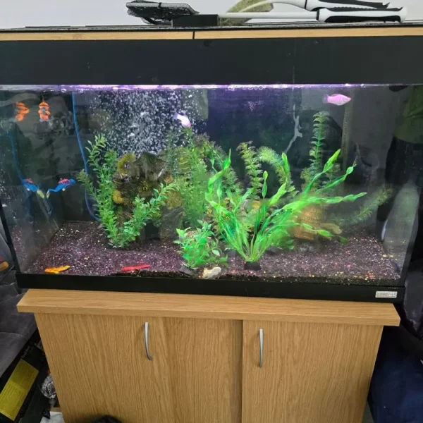 FULL SET UP FISH TANK AQUARIUM