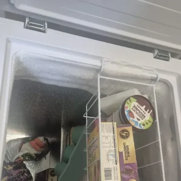 Freezer for sale