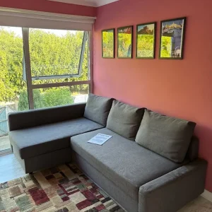 IKEA FRIHETEN Corner sofa-bed with storage