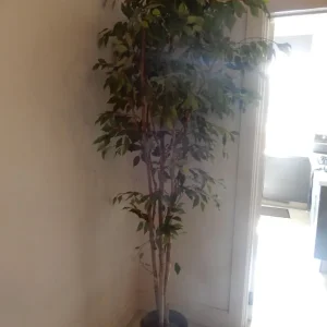 Decorative artificial Ficus Tree with pot: 230 cm high - Image 5