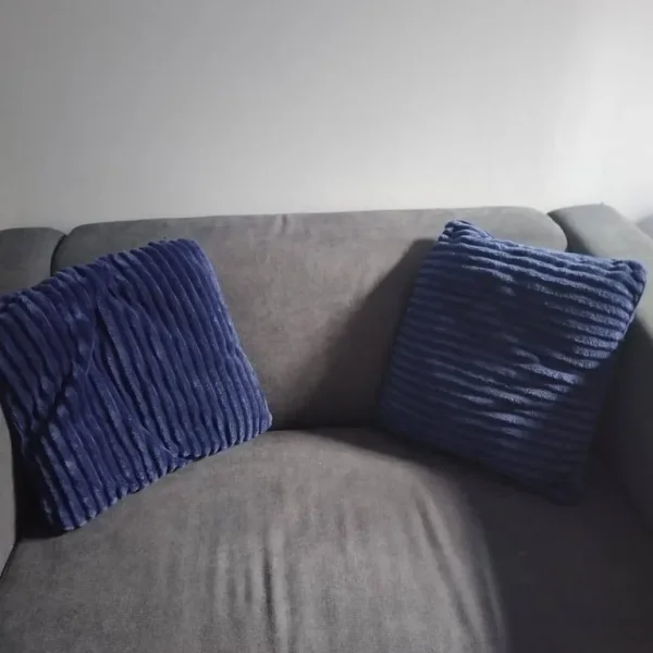 Mini pillow/sofa pillow