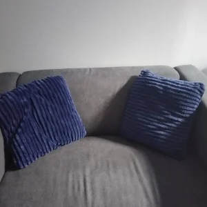 Mini pillow/sofa pillow