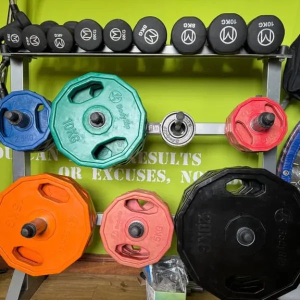 Rubber Coated Weight plates, dumbbell set plus storage rack.
