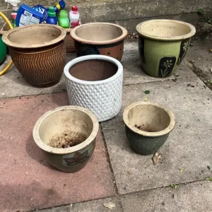Collection of 8 Flower pots of various sizes - Image 4