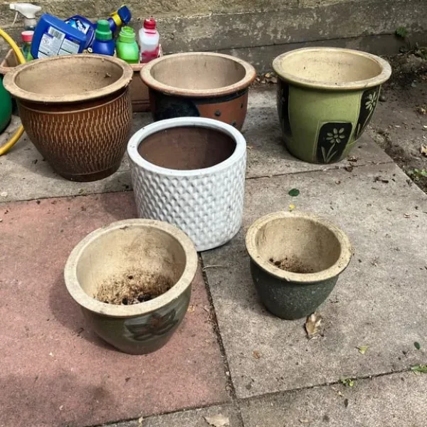 Collection of 8 Flower pots of various sizes