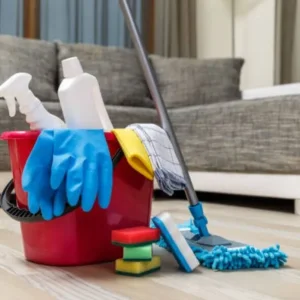 Cleaner for Homes, Offices, and Hotel Rooms - Image 3
