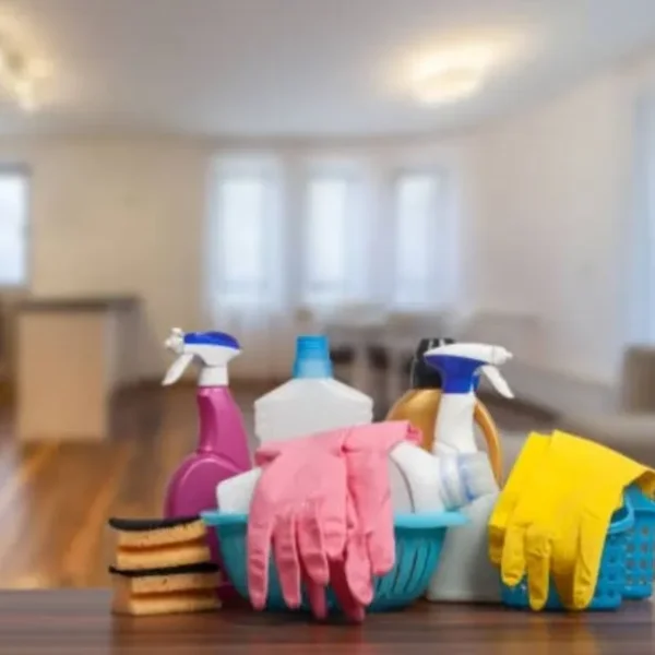 Cleaner for Homes, Offices, and Hotel Rooms
