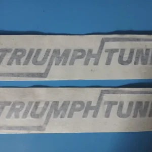 TRIUMPHTUNE RARE Last pair